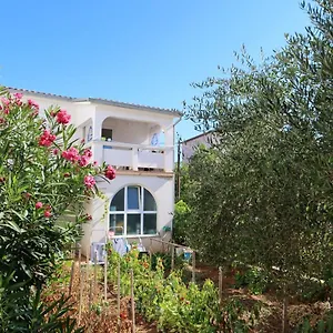 https://apartment-bunaric-i-br101-vir.hotelinzadar.com
